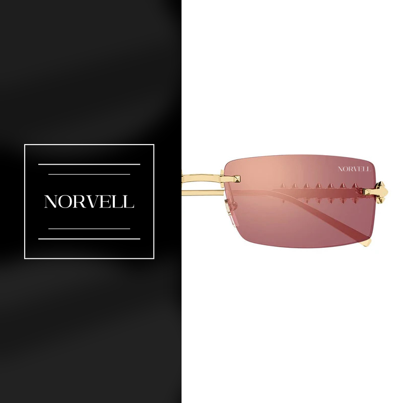 Norvell Monarch Vision Carbon – Black Frame Smoke Lens